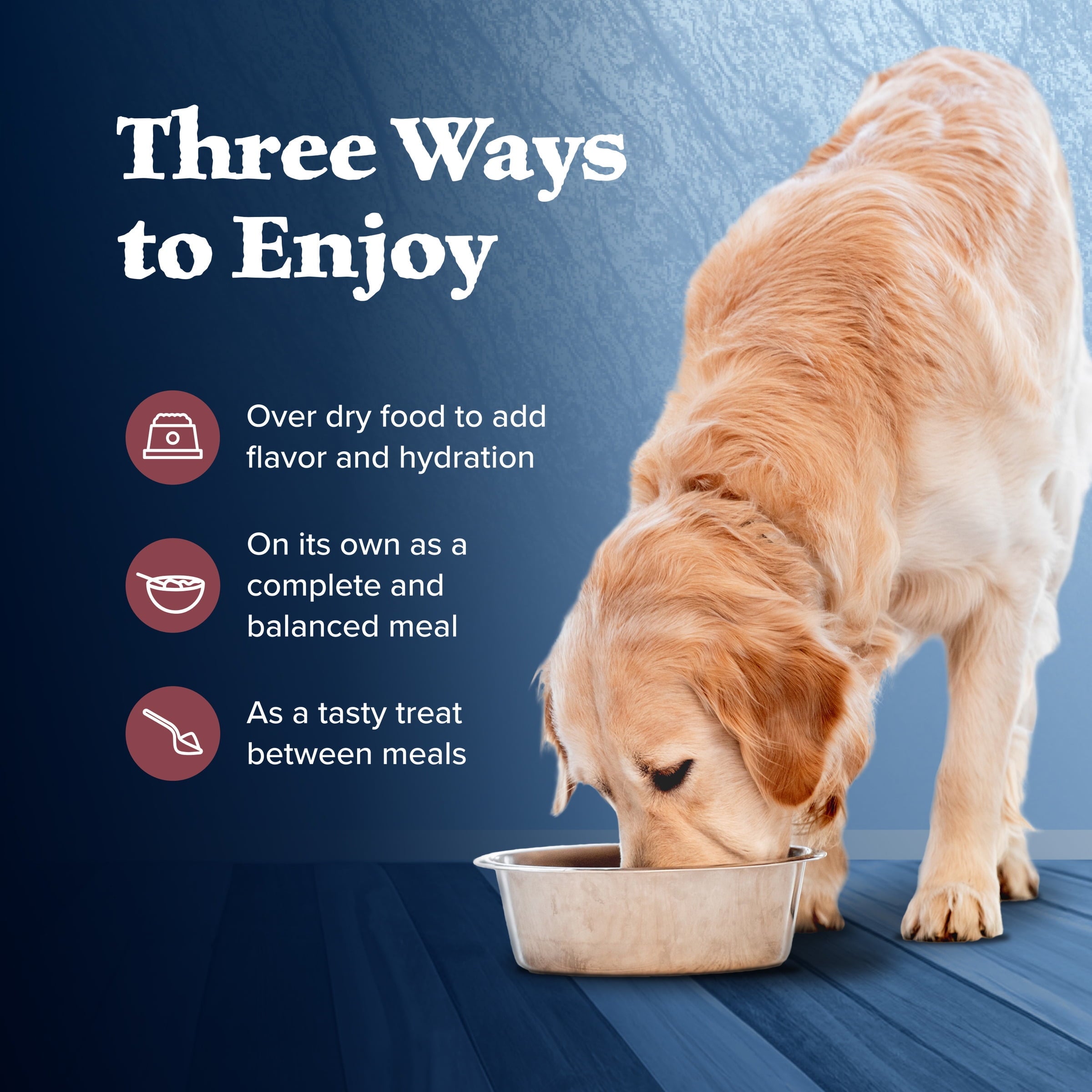 (6 pack) Blue Buffalo Wilderness Adult Wet Dog Food Salmon & Chicken Grill, 12.5-oz. Can