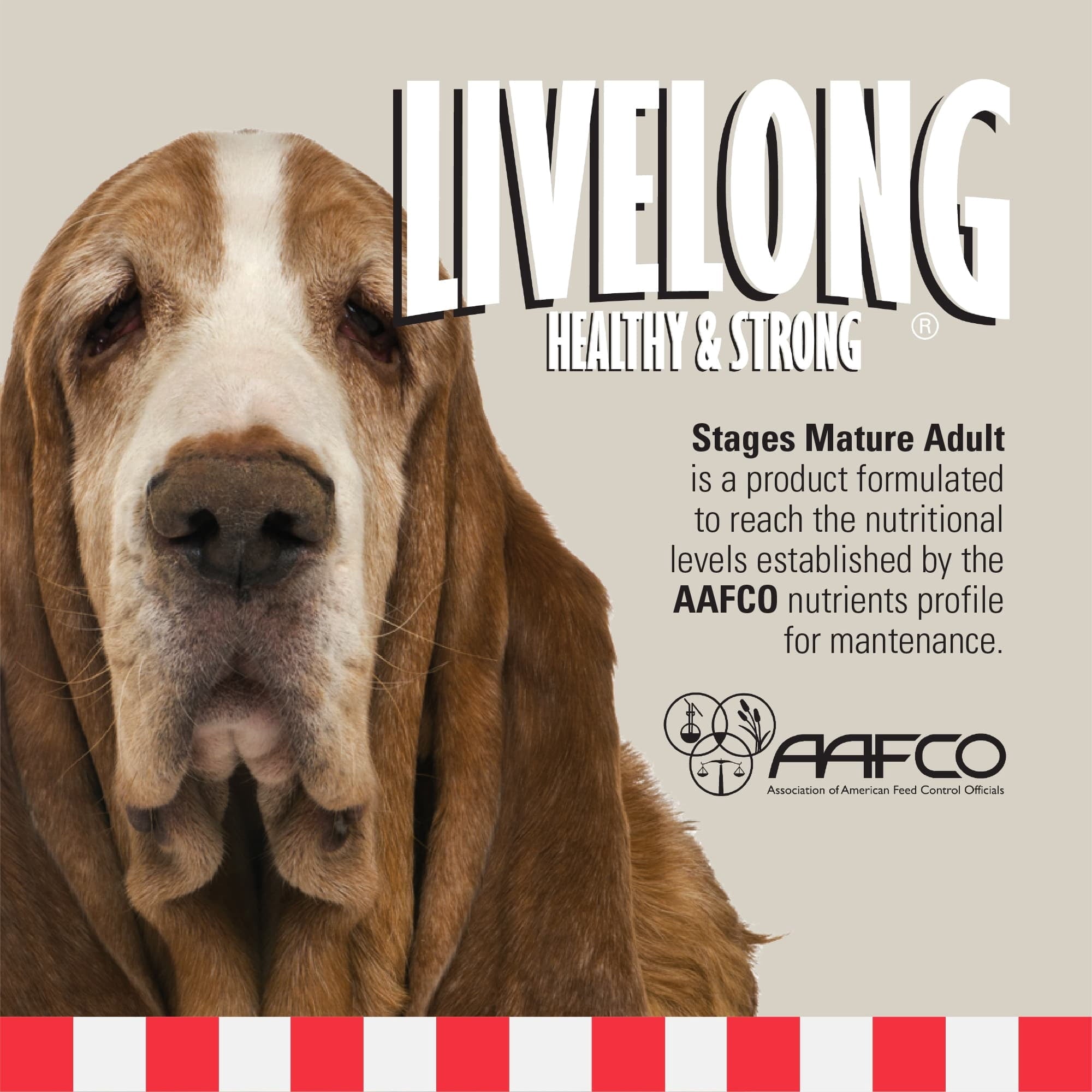 Livelong Healthy & Strong: 12 Pack: Stages Mature Adult - Chicken Meat, 12.5oz Cans, Wet Dog Food, High Protein, Natural, No Preservatives,