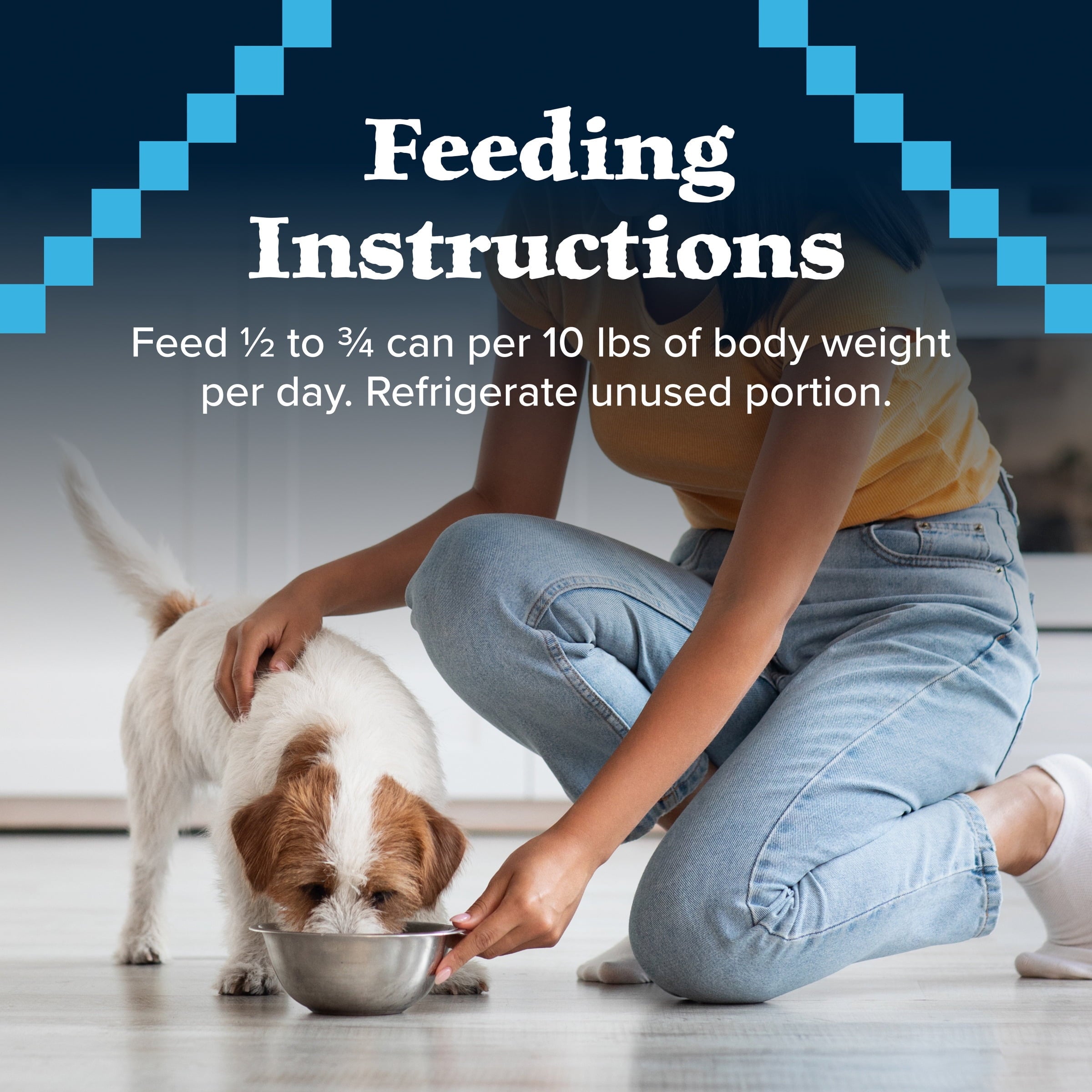 (6 pack) Blue Buffalo Wilderness Adult Wet Dog Food Salmon & Chicken Grill, 12.5-oz. Can