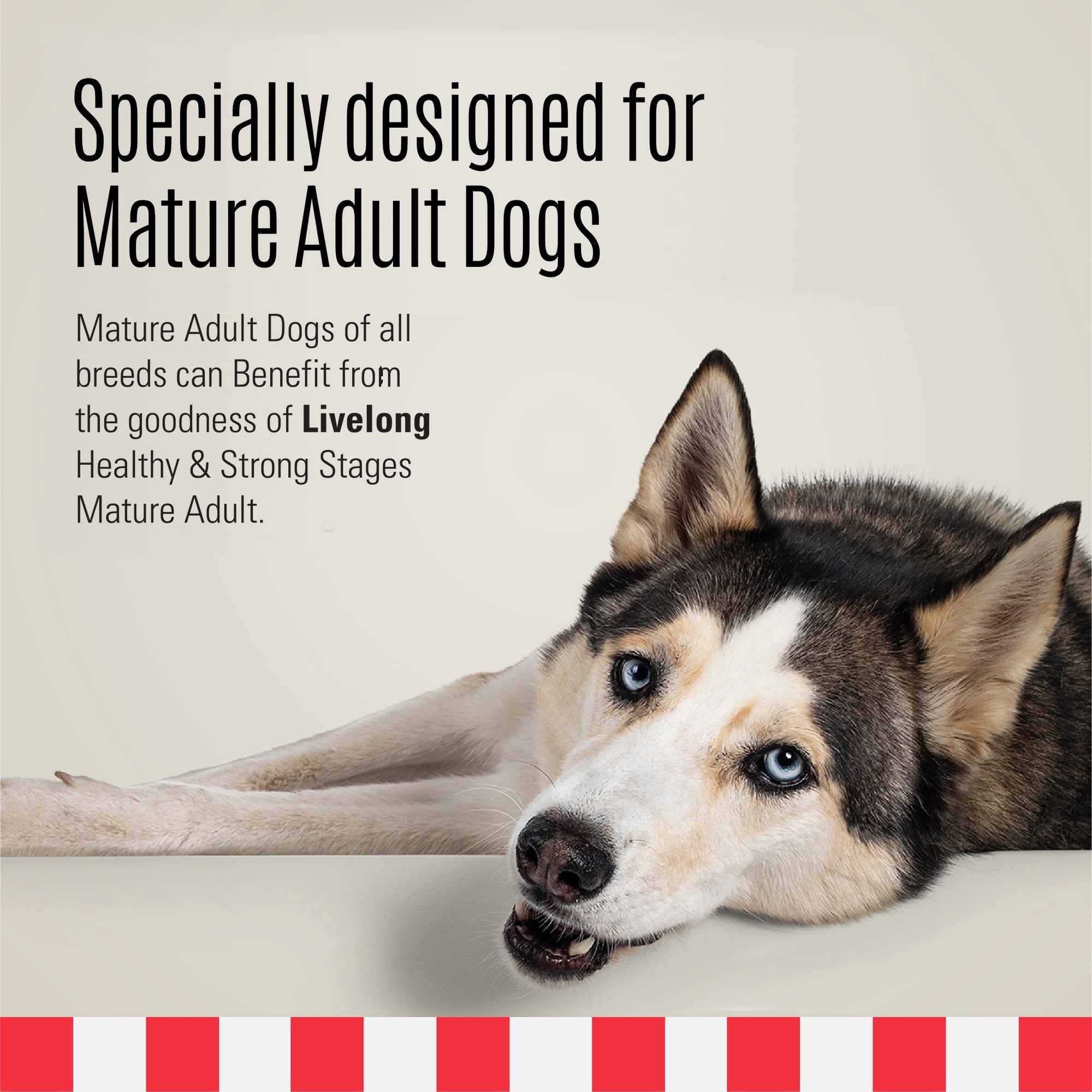 Livelong Healthy & Strong: 12 Pack: Stages Mature Adult - Chicken Meat, 12.5oz Cans, Wet Dog Food, High Protein, Natural, No Preservatives,