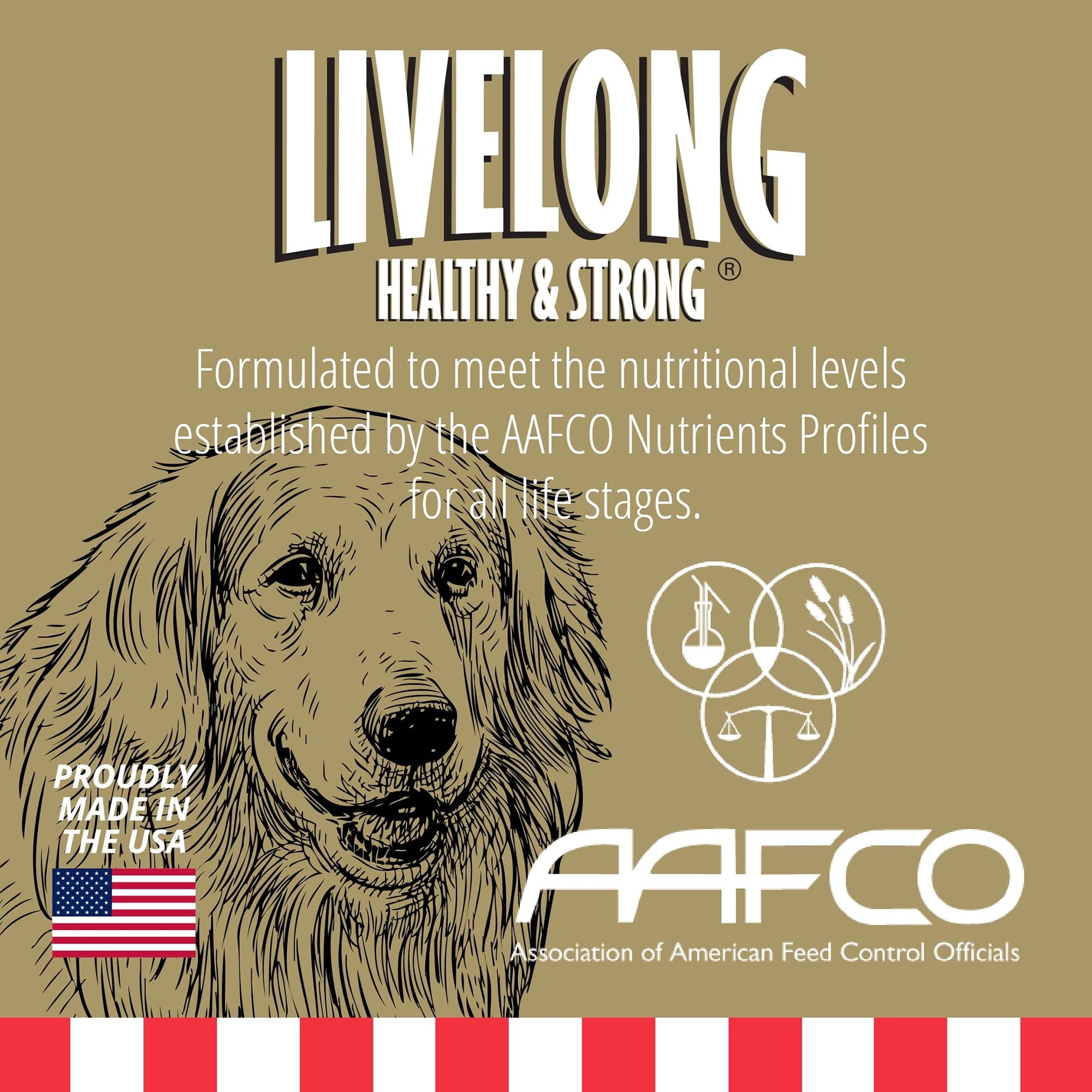Livelong Healthy & Strong: 12 Pack - Chicken & Sweet Potato Recipe - 12.5oz Cans, Wet Dog Food, High Protein, All Natural, No Preservatives,