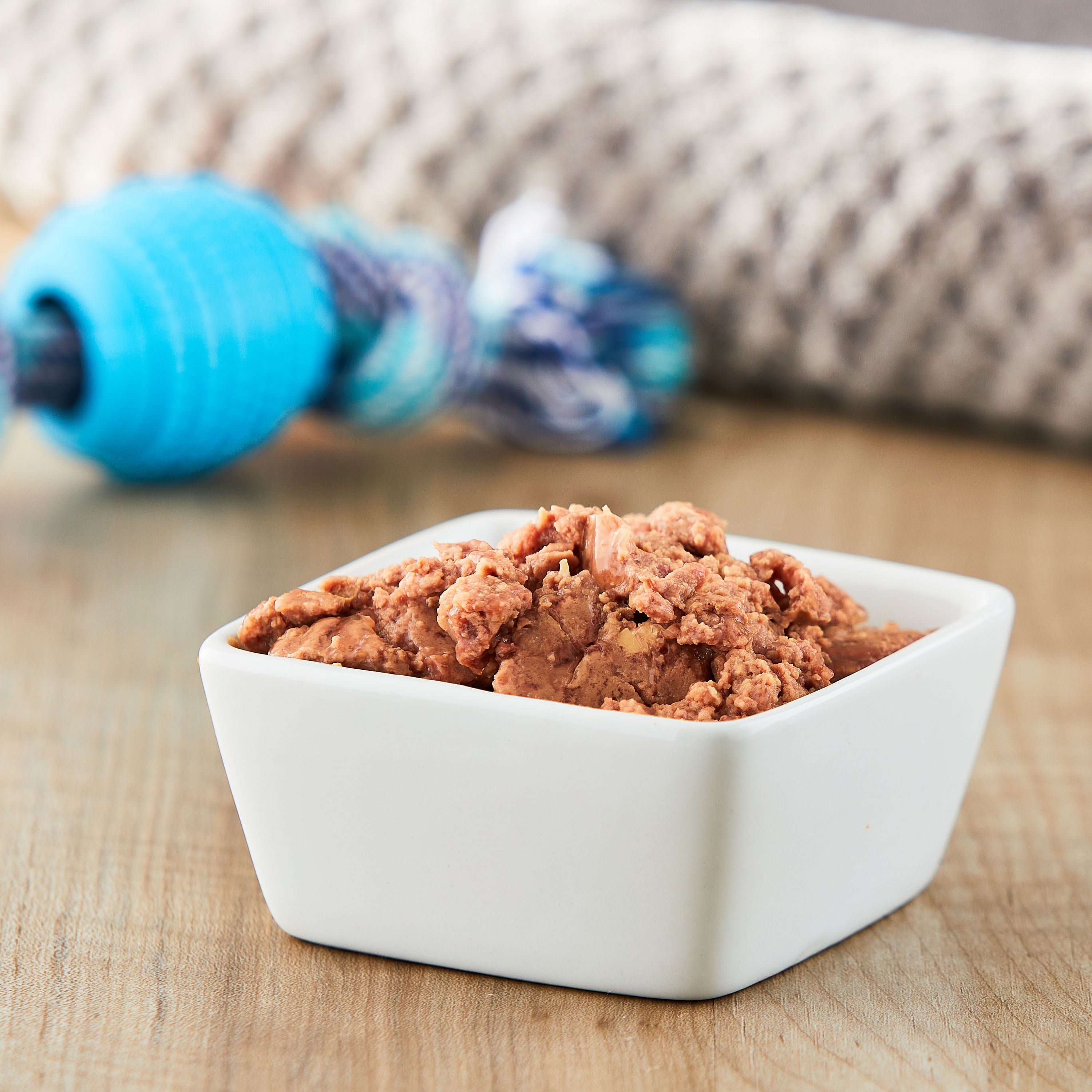 Ol' Roy New York Strip Flavor Loaf in Sauce, Grain-Free Wet Dog Food, 3.5 oz Cup