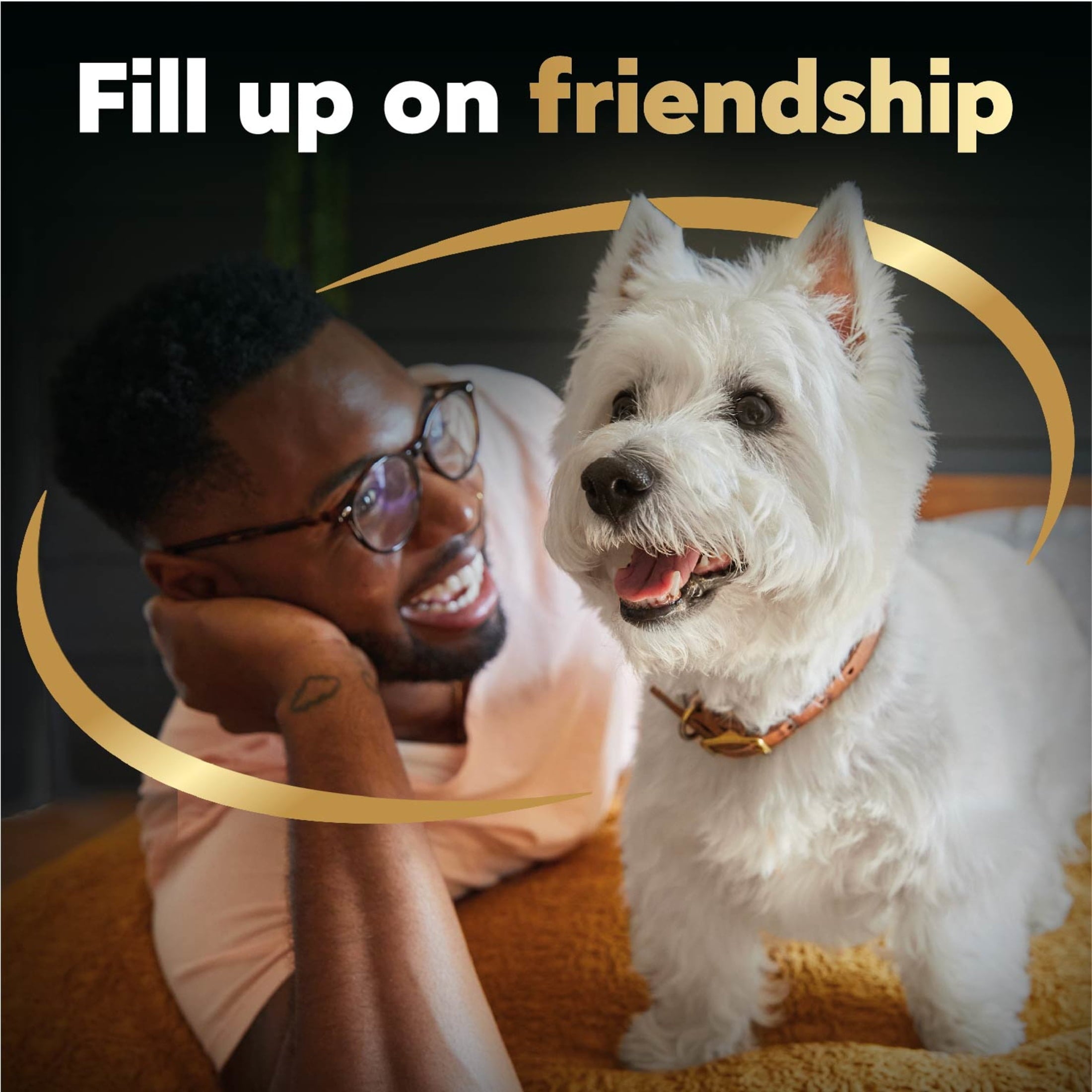 Cesar Pouch Filets In Gravy Rotisserie Chicken Flavor Wet Dog Food, 1.76 Oz. Pouch, 1 Ct