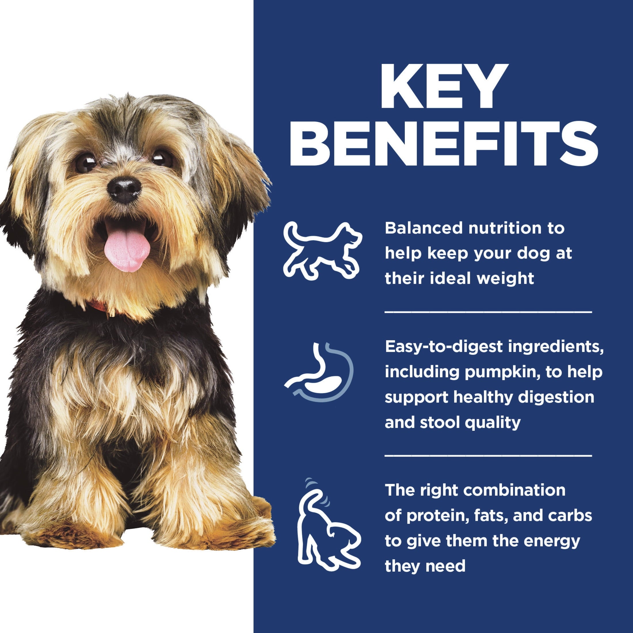 Hill's Science Diet Savory Stew w/Chicken & Vegetables Wet Dog Food, 3.5oz Tray 12pk