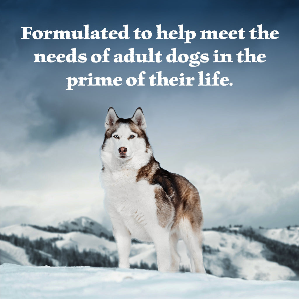 (6 pack) Blue Buffalo Wilderness Adult Wet Dog Food Salmon & Chicken Grill, 12.5-oz. Can