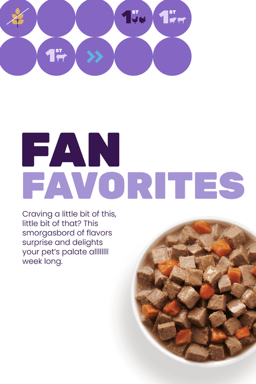 "I and love and you" Variety Pack Canned Wet Dog Food, Chicken and Turkey Recipes. Pack of 6 Cans