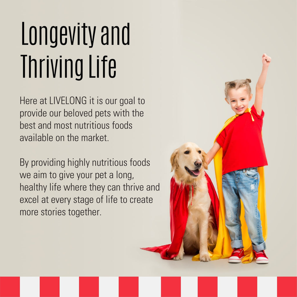 Livelong Healthy & Strong: 12 Pack: Stages Mature Adult - Chicken Meat, 12.5oz Cans, Wet Dog Food, High Protein, Natural, No Preservatives,